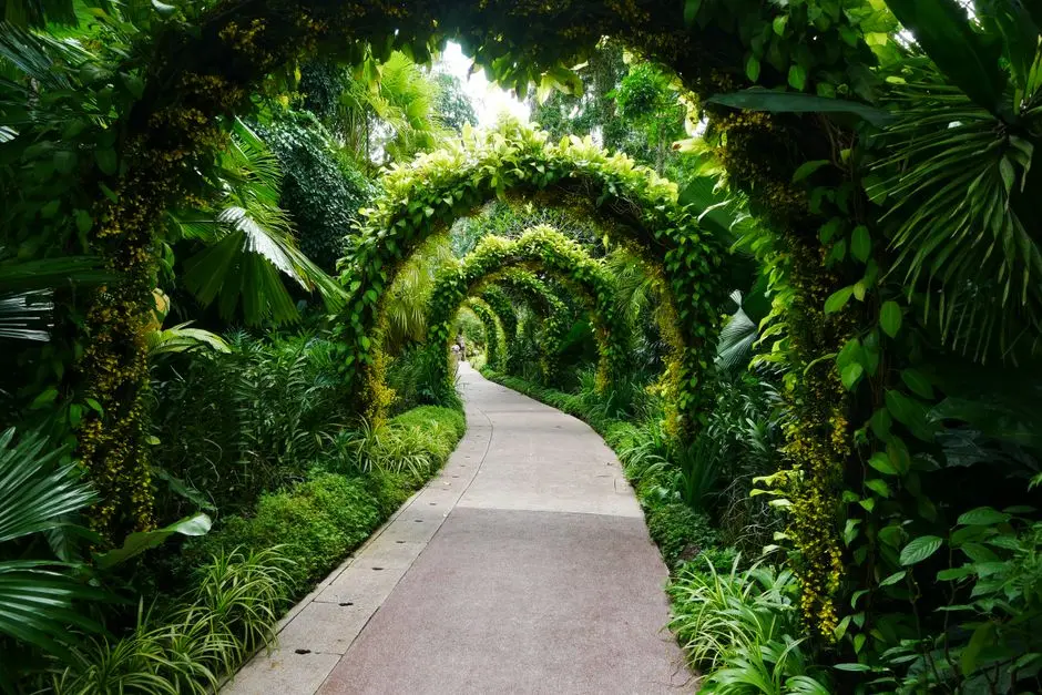 Greens & Outdoors at CENTRAL PARK II-BELGRAVIA RESORT RESIDENCES, Sector 48, Gurgaon