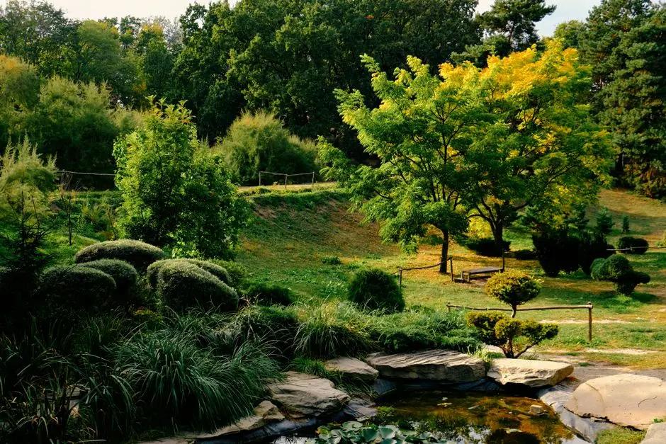 Greens & Outdoors at CENTRAL PARK SKY VILLAS, Sector 48, Gurgaon