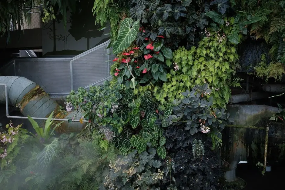 Greens & Outdoors at CENTRAL PARK SECTOR 106, Gurgaon