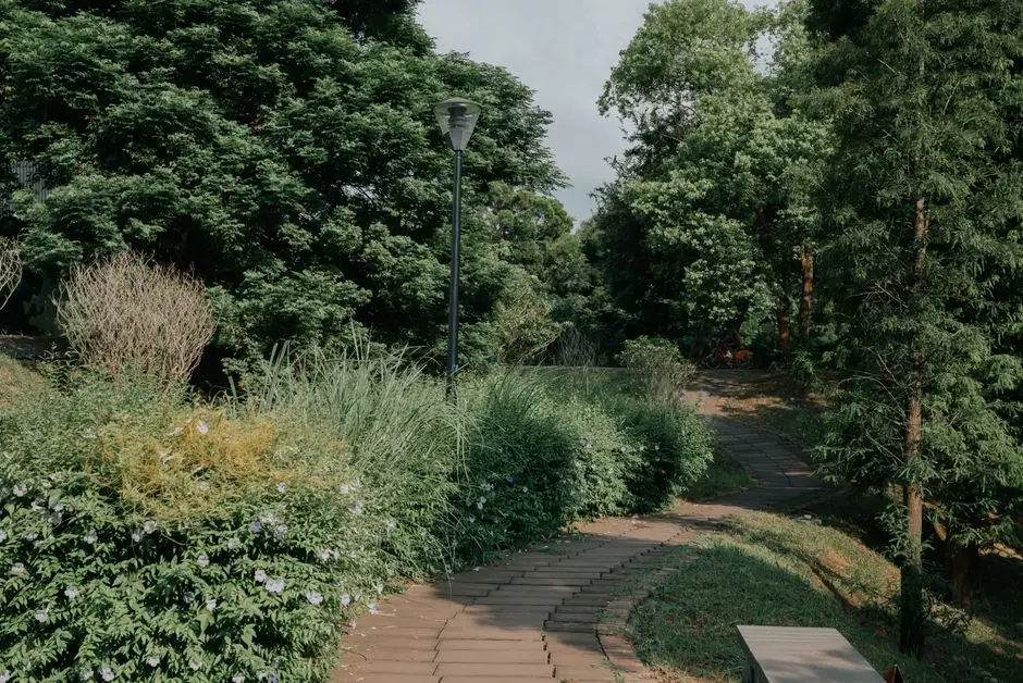 Greens & Outdoors at CENTRAL PARK SECTOR 102, Gurgaon