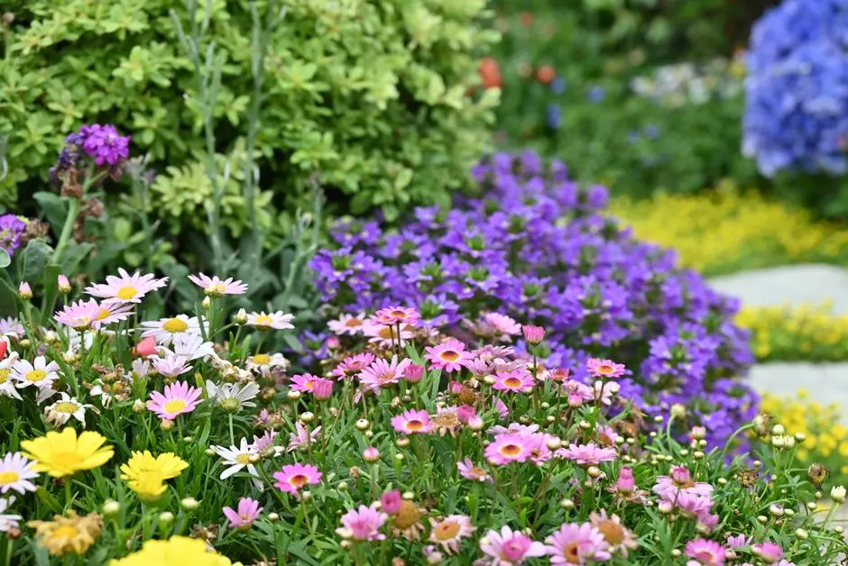 Greens & Outdoors at CENTRAL PARK SERVICED APARTMENTS SOHNA, Gurgaon