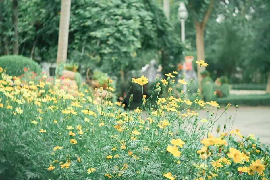 Greens & Outdoors at CENTRAL PARK SELENE, Sector 32-33, Sohna, Gurgaon