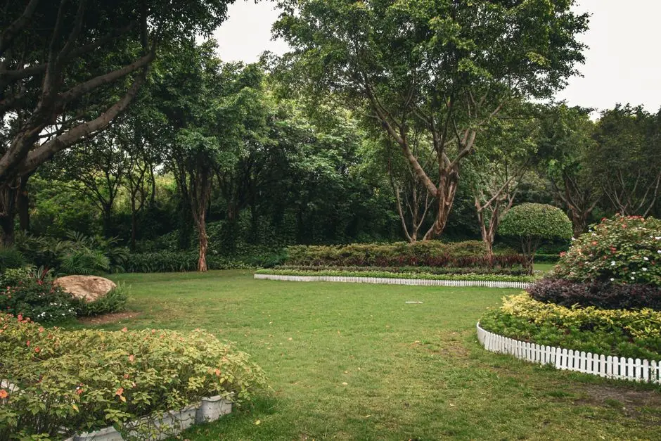 Greens & Outdoors at CENTRAL PARK FLOWER VALLEY PHASE IV, Sector 32, Sohna, Gurgaon