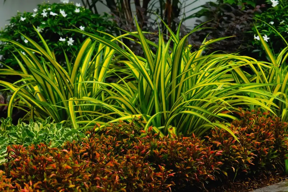 Greens & Outdoors at CENTRAL PARK BELAPERLA, Sector 48, Gurgaon